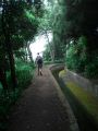 Madeira0833.JPG